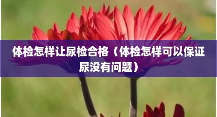 体检怎样让尿检合格（体检怎样可以保证尿没有问题）