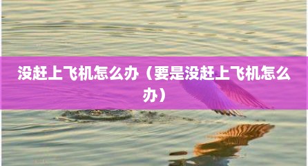 没赶上飞机怎么办（要是没赶上飞机怎么办）