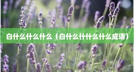 白什么什么什么（白什么什什么什么成语）