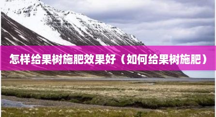 怎样给果树施肥效果好（如何给果树施肥）
