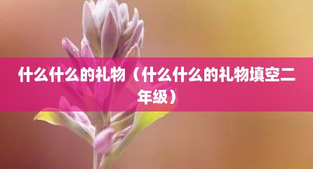 什么什么的礼物（什么什么的礼物填空二年级）