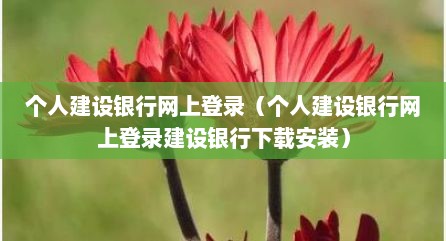 个人建设银行网上登录（个人建设银行网上登录建设银行下载安装）