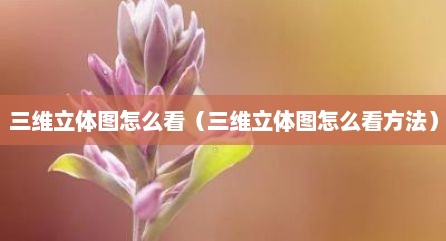 三维立体图怎么看（三维立体图怎么看方法）