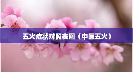 五火症状对照表图（中医五火）