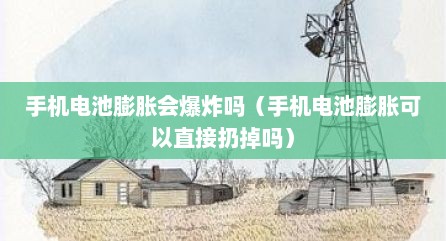手机电池膨胀会爆炸吗（手机电池膨胀可以直接扔掉吗）