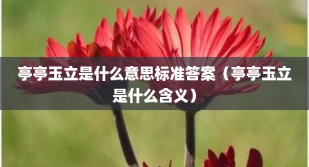 亭亭玉立是什么意思标准答案（亭亭玉立是什么含义）