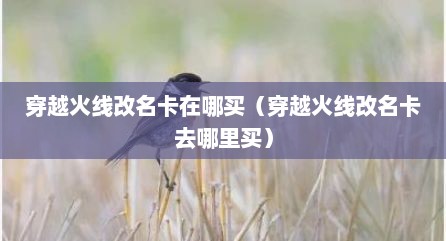 穿越火线改名卡在哪买（穿越火线改名卡去哪里买）