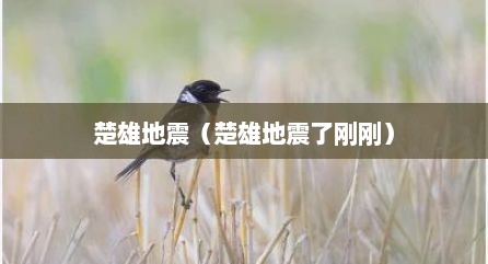 楚雄地震（楚雄地震了刚刚）