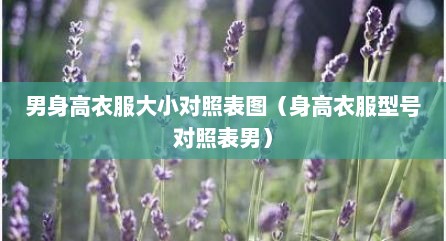 男身高衣服大小对照表图（身高衣服型号对照表男）