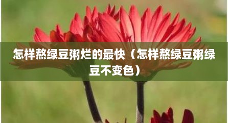 怎样熬绿豆粥烂的最快（怎样熬绿豆粥绿豆不变色）