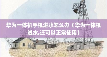 华为一体机手机进水怎么办（华为一体机进水,还可以正常使用）