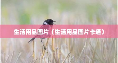生活用品图片（生活用品图片卡通）