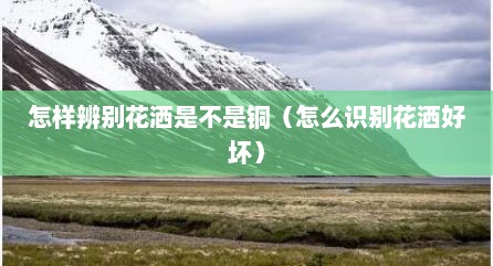 怎样辨别花洒是不是铜（怎么识别花洒好坏）