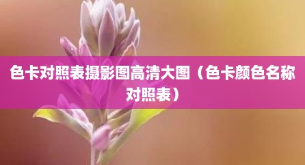 色卡对照表摄影图高清大图（色卡颜色名称对照表）