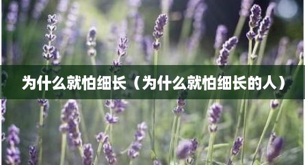 为什么就怕细长（为什么就怕细长的人）