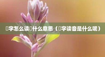 燊字怎么读燊什么意思（燊字读音是什么呢）