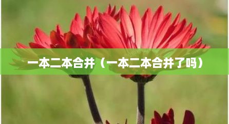一本二本合并（一本二本合并了吗）