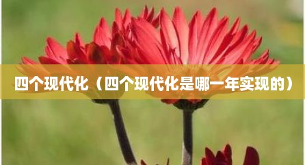 四个现代化（四个现代化是哪一年实现的）