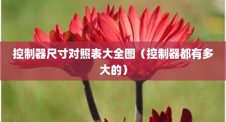 控制器尺寸对照表大全图（控制器都有多大的）