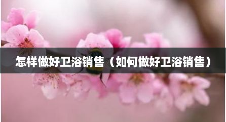 怎样做好卫浴销售（如何做好卫浴销售）