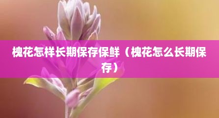 槐花怎样长期保存保鲜（槐花怎么长期保存）