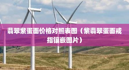 翡翠紫蛋面价格对照表图（紫翡翠蛋面戒指镶嵌图片）