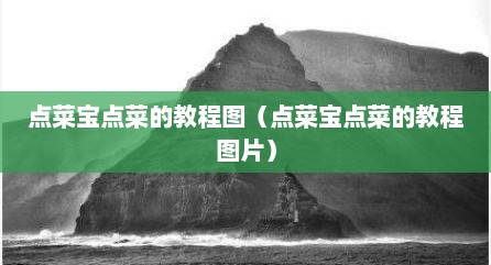 点菜宝点菜的教程图（点菜宝点菜的教程图片）
