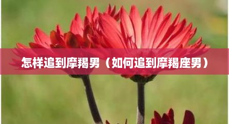 怎样追到摩羯男（如何追到摩羯座男）