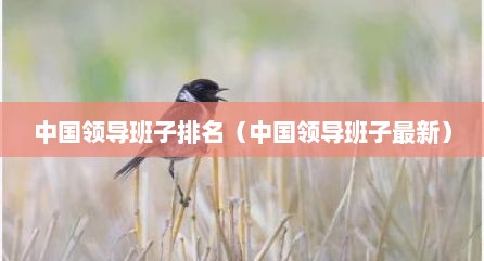 中国领导班子排名（中国领导班子最新）