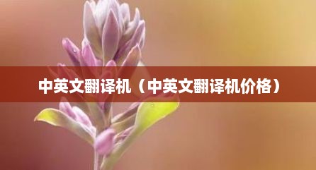 中英文翻译机（中英文翻译机价格）