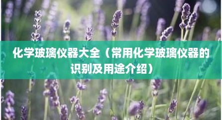 化学玻璃仪器大全（常用化学玻璃仪器的识别及用途介绍）