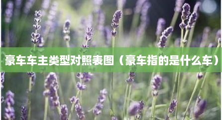 豪车车主类型对照表图（豪车指的是什么车）