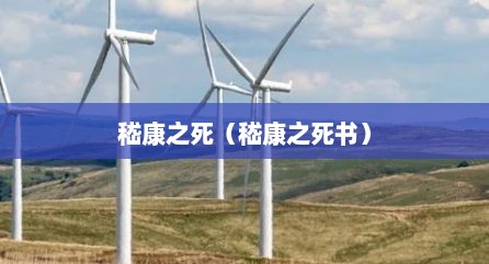 嵇康之死（嵇康之死书）