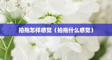 拍拖怎样感觉（拍拖什么感觉）