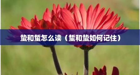 蛰和蜇怎么读（蜇和蛰如何记住）