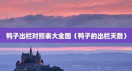 鸭子出栏对照表大全图（鸭子的出栏天数）