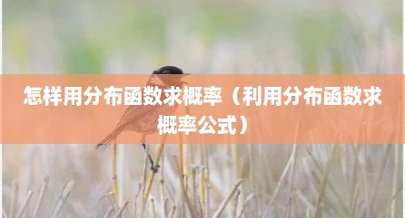怎样用分布函数求概率（利用分布函数求概率公式）