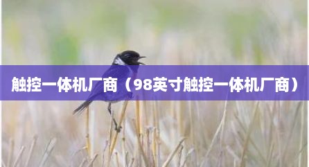 触控一体机厂商（98英寸触控一体机厂商）