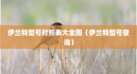 伊兰特型号对照表大全图（伊兰特型号查询）