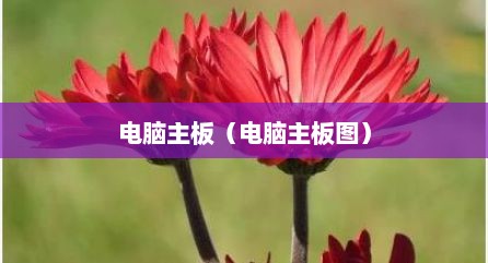 电脑主板（电脑主板图）