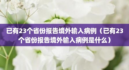 已有23个省份报告境外输入病例（已有23个省份报告境外输入病例是什么）