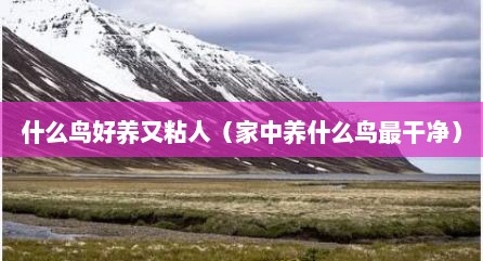什么鸟好养又粘人（家中养什么鸟最干净）