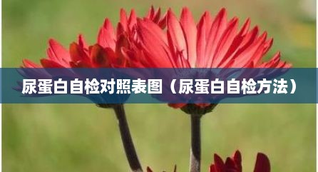 尿蛋白自检对照表图（尿蛋白自检方法）