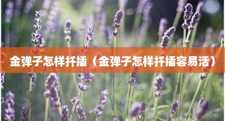 金弹子怎样扦插（金弹子怎样扦插容易活）