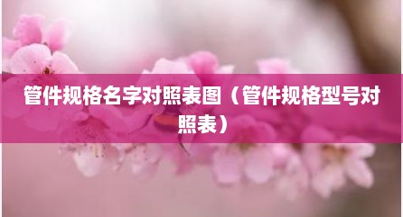 管件规格名字对照表图（管件规格型号对照表）