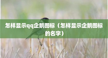 怎样显示qq企鹅图标（怎样显示企鹅图标的名字）