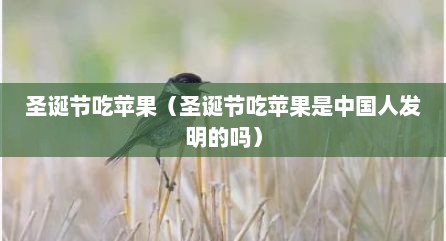 圣诞节吃苹果（圣诞节吃苹果是中国人发明的吗）