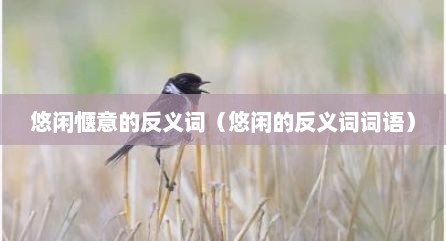 悠闲惬意的反义词（悠闲的反义词词语）