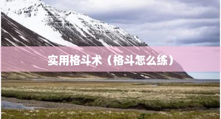 实用格斗术（格斗怎么练）