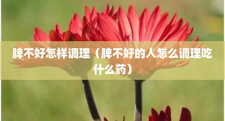 脾不好怎样调理（脾不好的人怎么调理吃什么药）